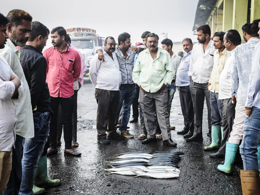Sassoon Docks — Mumbai, Inde